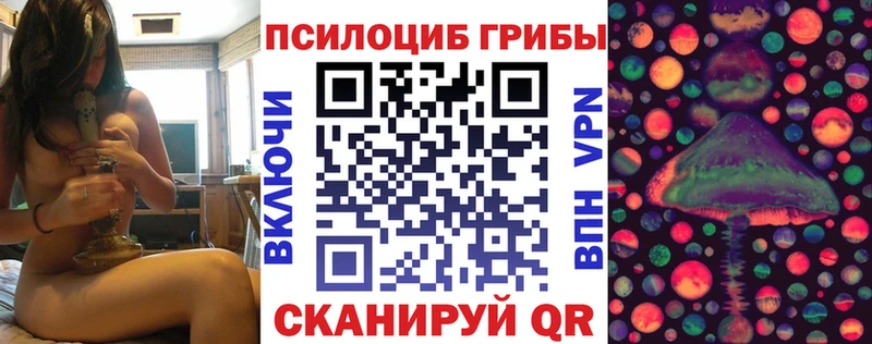 KRAKEN зеркало  Шацк  Псилоцибиновые грибы мухоморы 